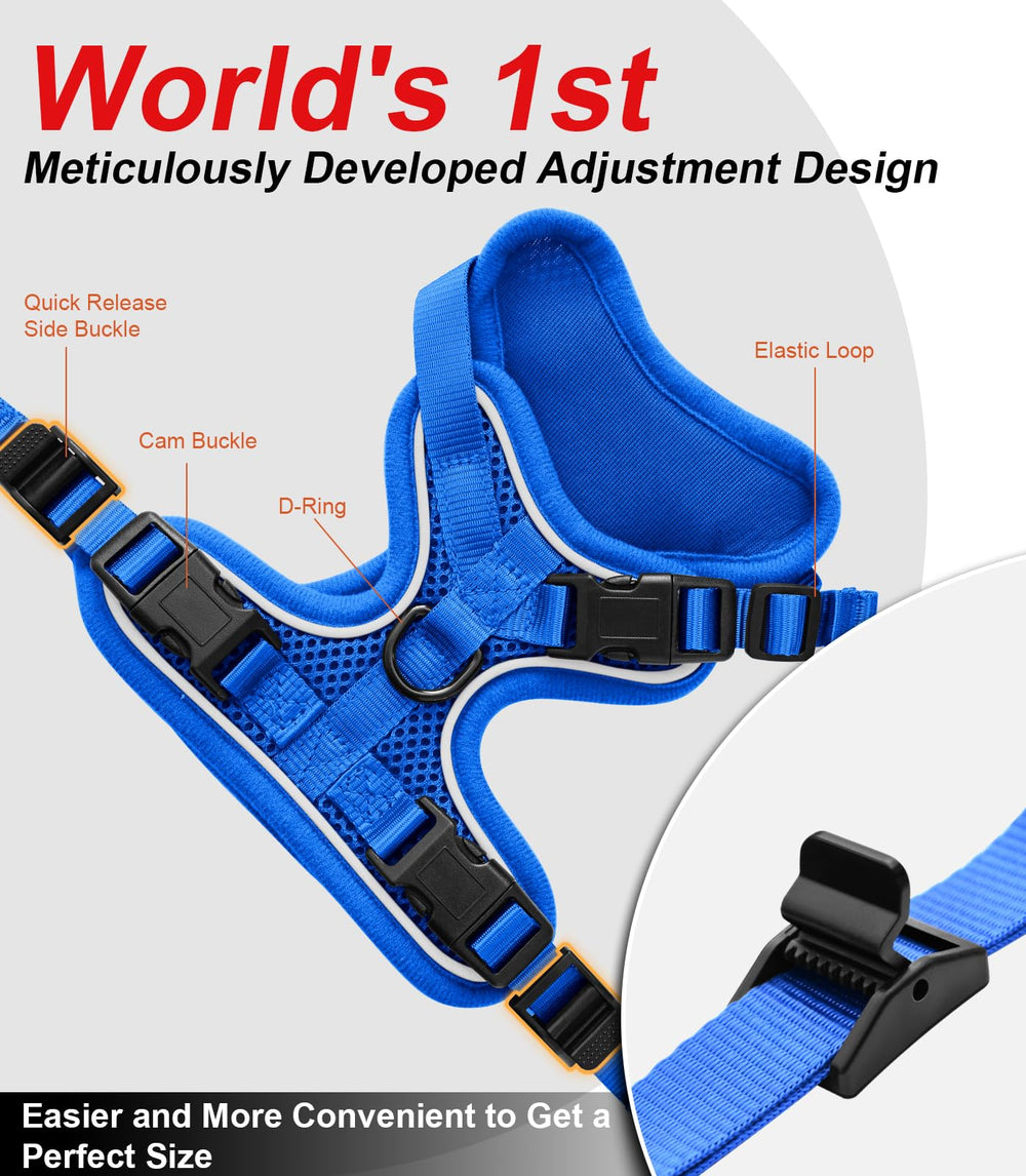 Kaazylab cat harness reflective strips enhance visibility in low light.