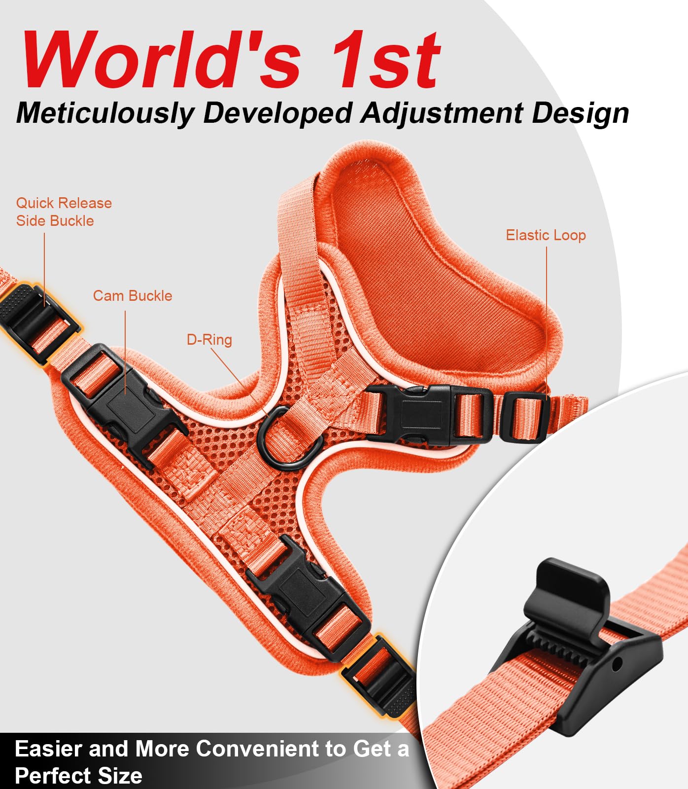 Kaazylab cat leash easy-clip buckles for quick setup.