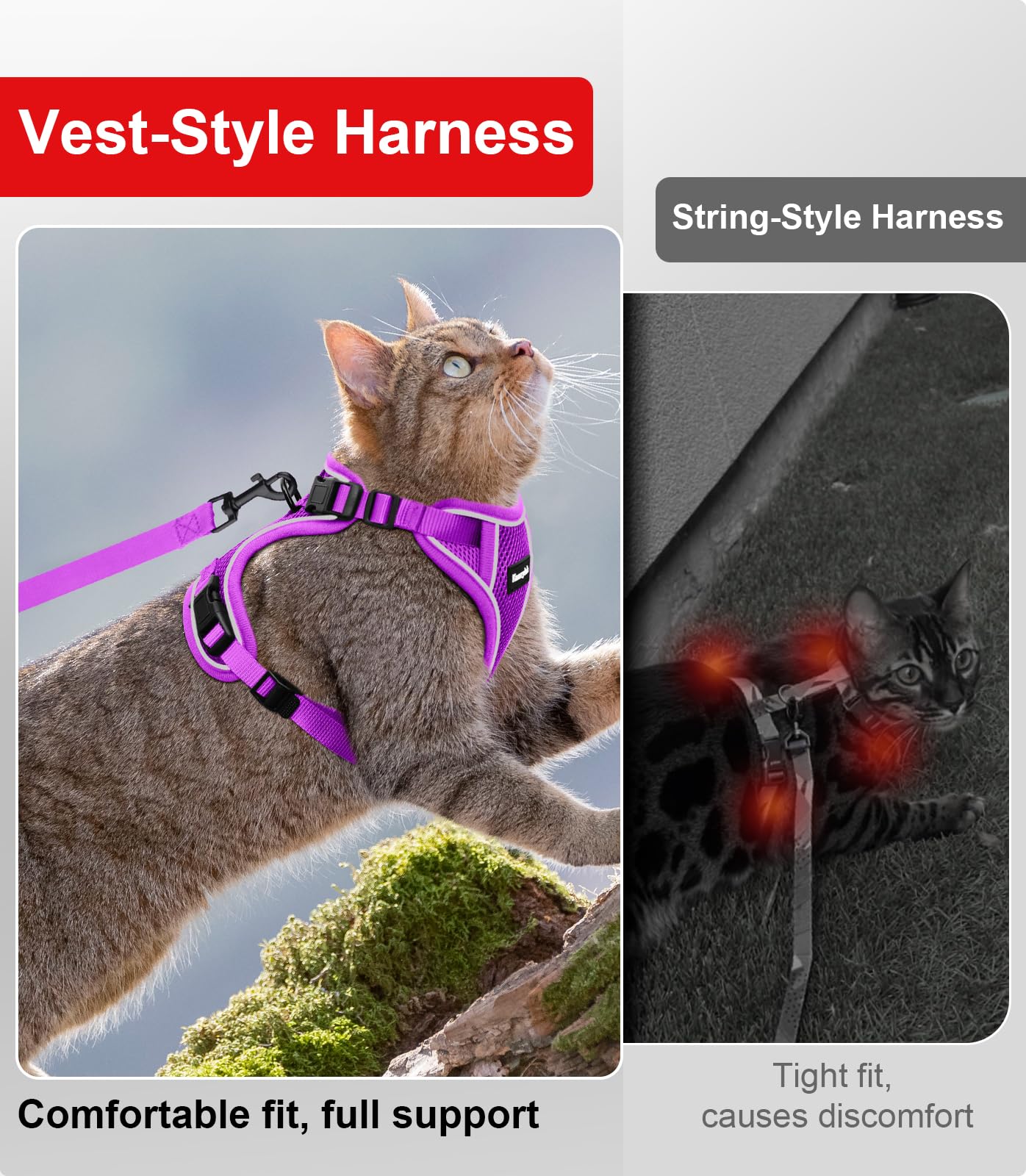 Kaazylab quick-release buckles enable hassle-free harness setup.