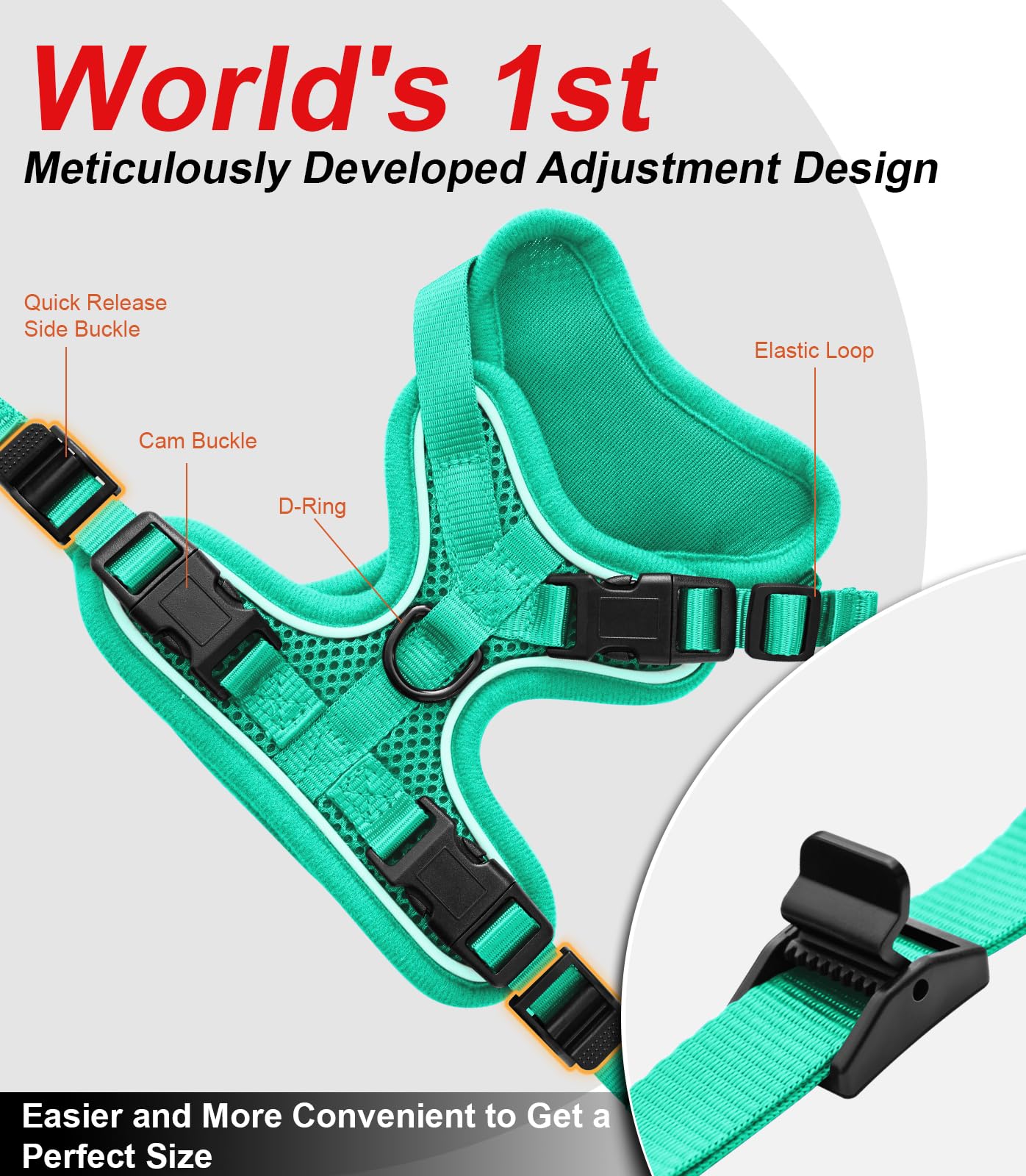 Kaazylab reflective strips boost visibility during dusk strolls.