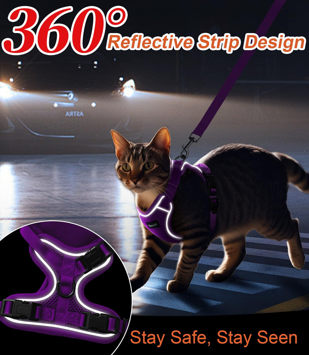 Kaazylab reflective strips improve visibility during low-light outings.
