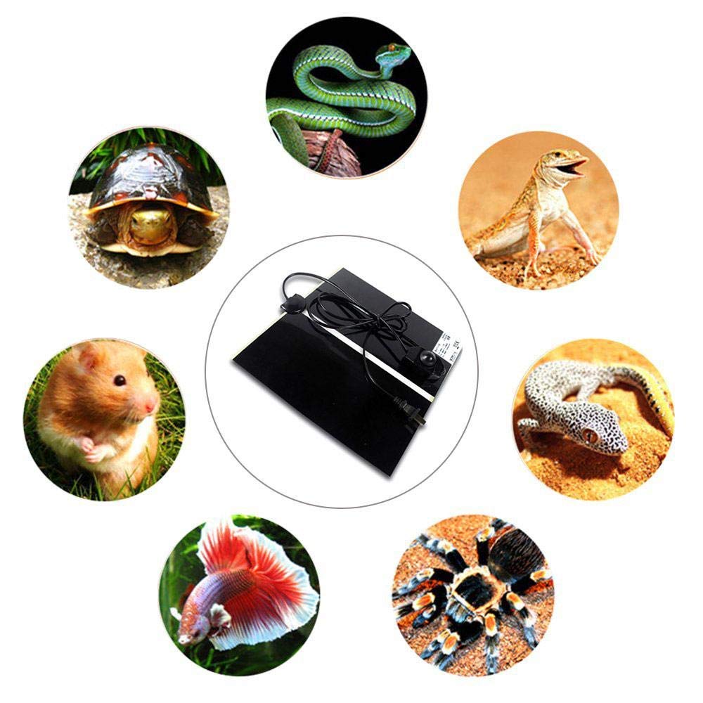 KABASI Reptile Heating Pad US plug ready for quick setup