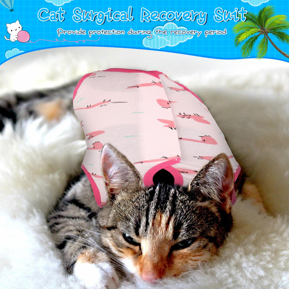 Kacctyen cat wearing recovery suit, demonstrating comfortable daily activity