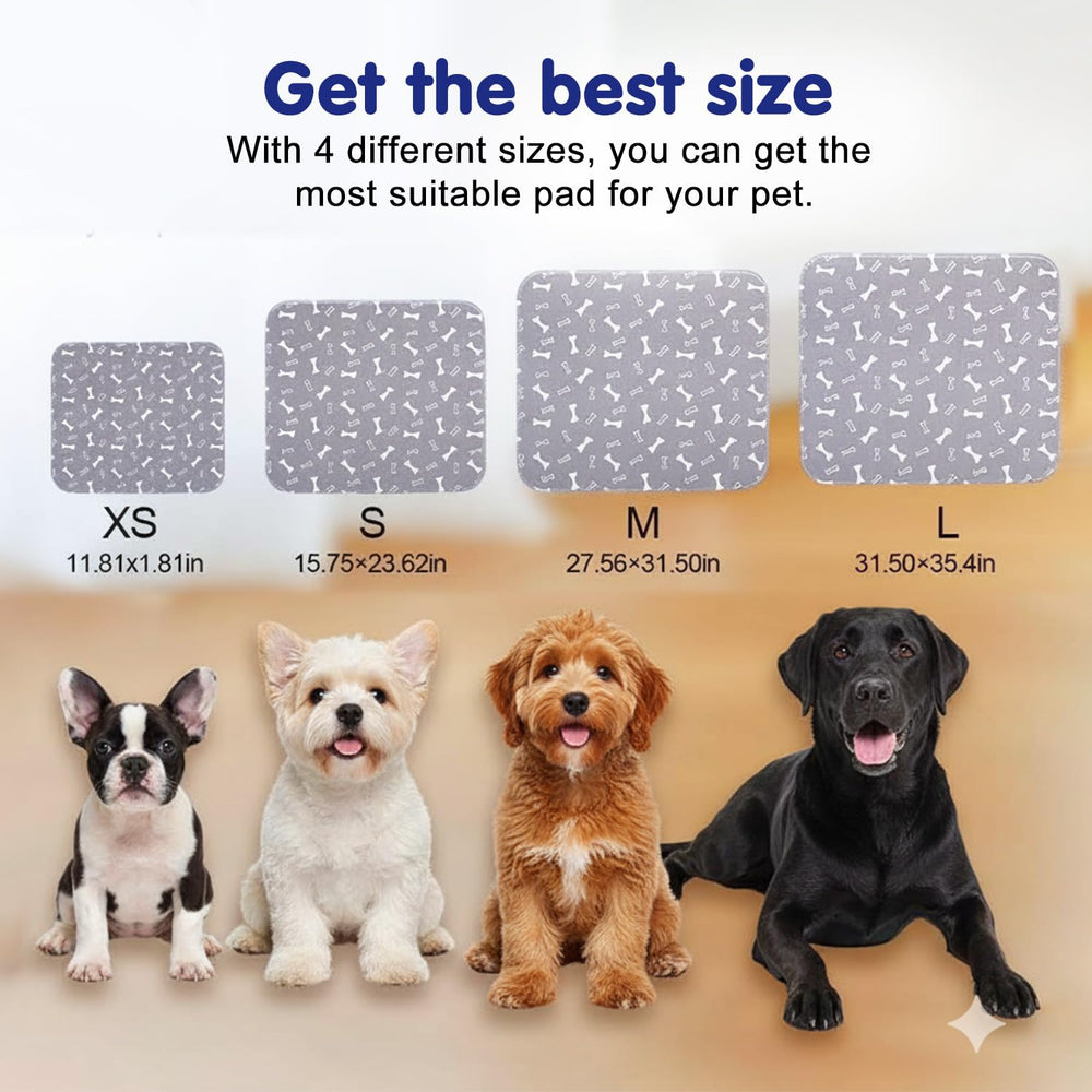 Kacitalone Elite Pad grey features pheromones for calmer training