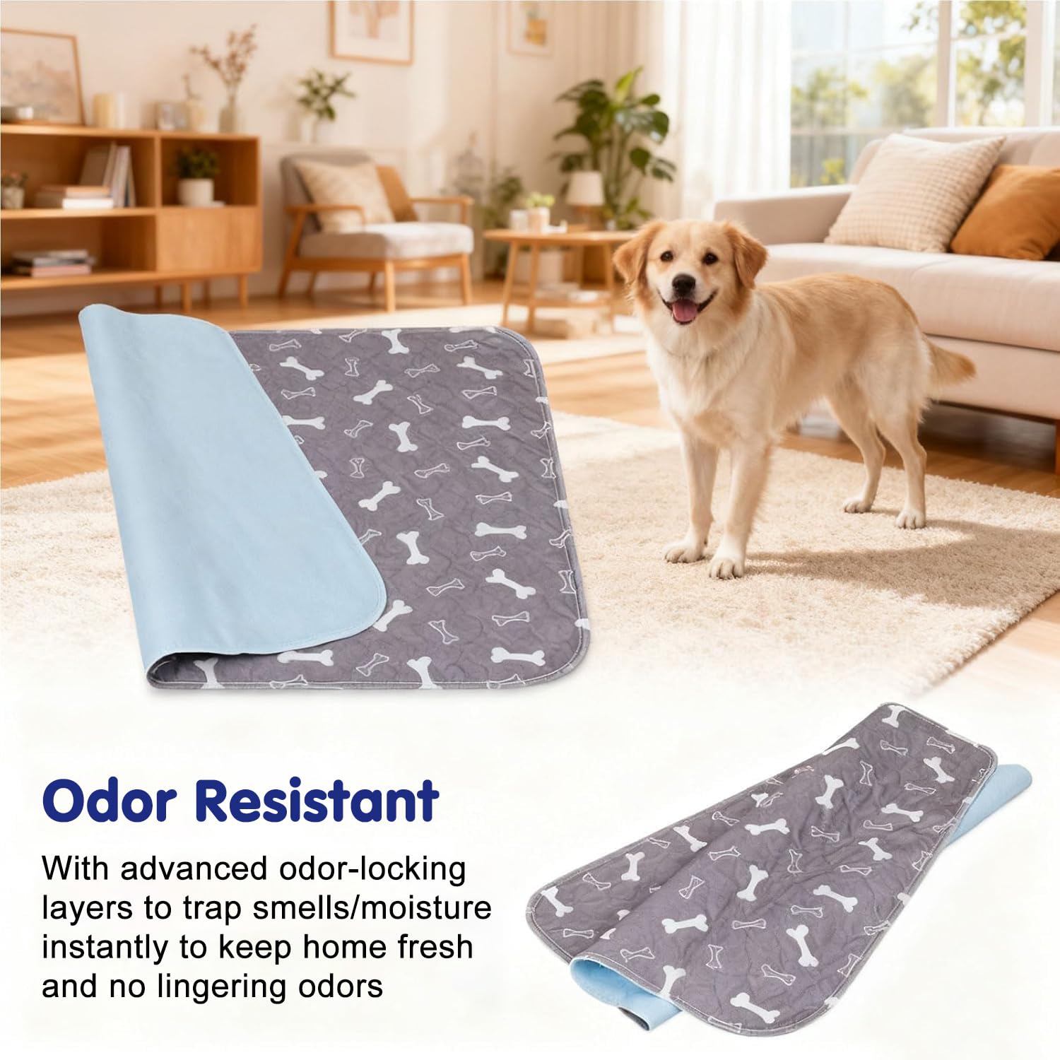 Kacitalone Elite Pad grey comes in multiple sizes for all dogs
