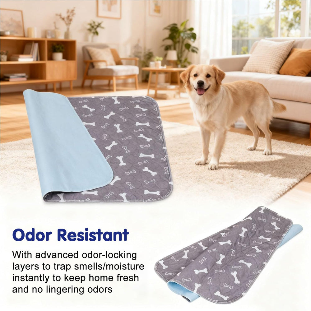 Kacitalone Elite Pad grey comes in multiple sizes for all dogs