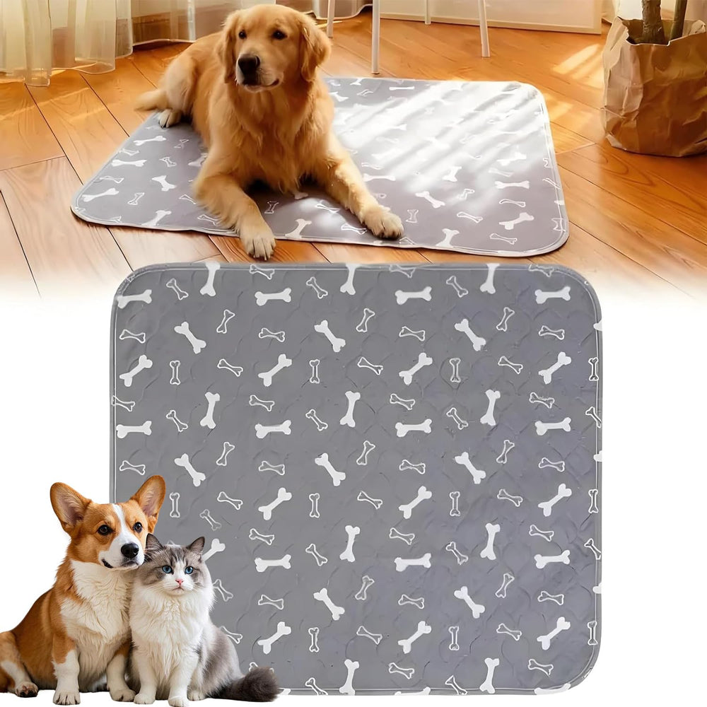 Kacitalone Elite Pad in grey shows leak-proof back for protection