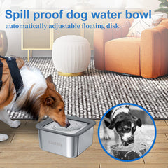 Kactoily 3L no-spill dog water bowl with floating disk in use