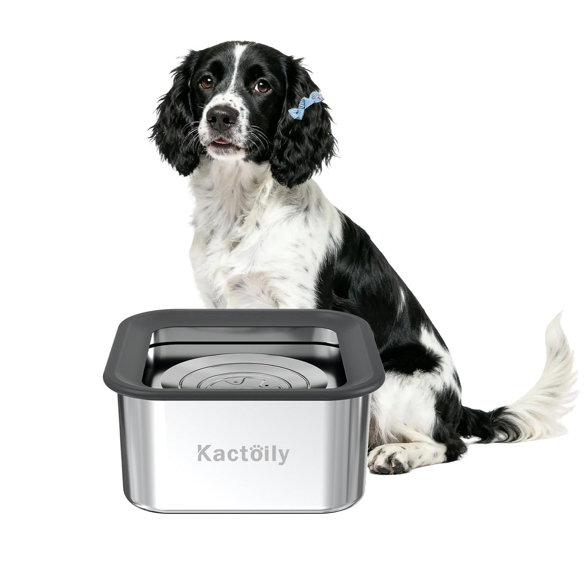 Kactoily 3L no-spill dog water bowl front view showing large capacity for big dogs