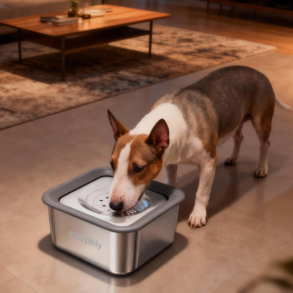 Kactoily 3L no-spill dog water bowl in car travel scenario for on-the-go hydration