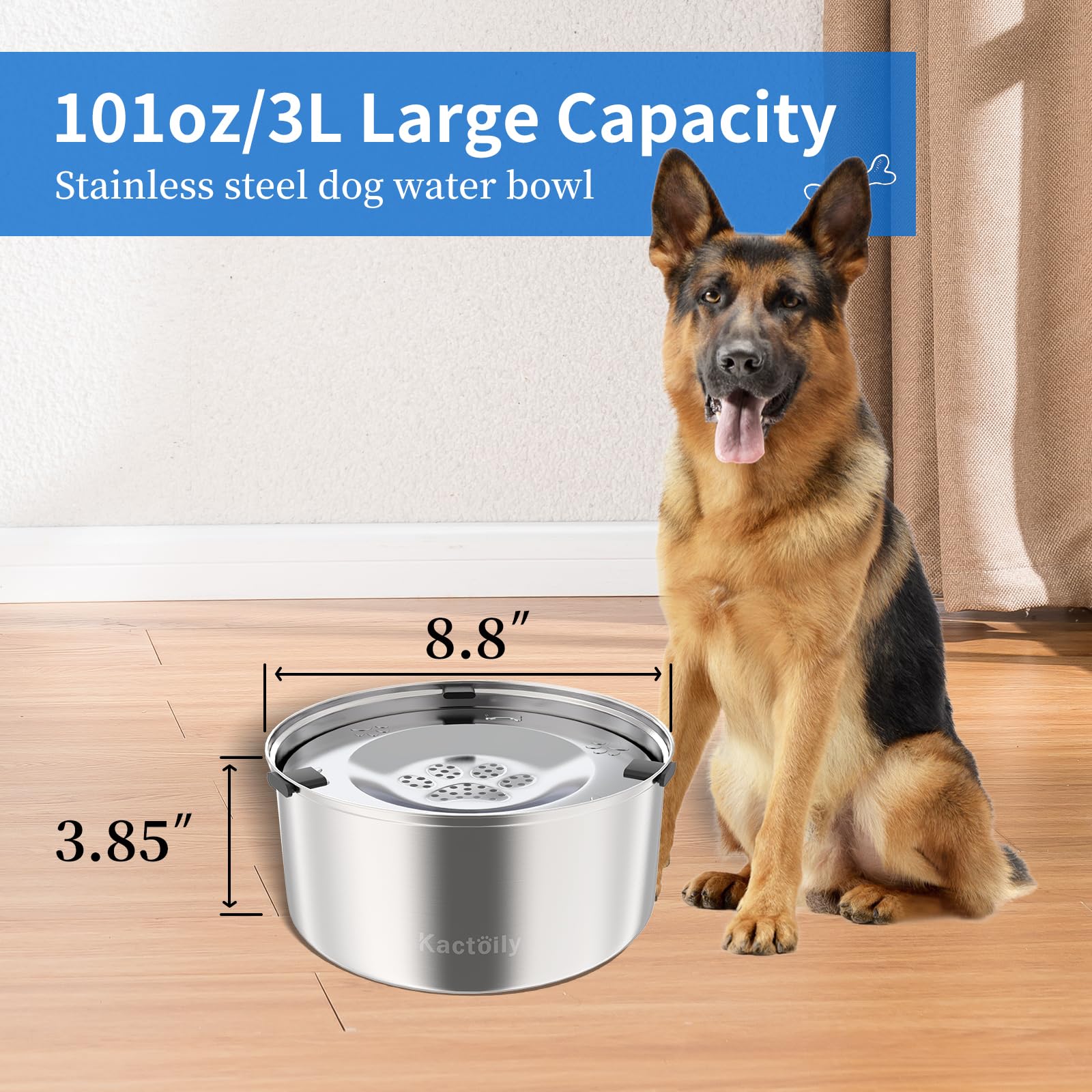 Kactoily bottom non-slip pads keep the bowl steady on various floors.