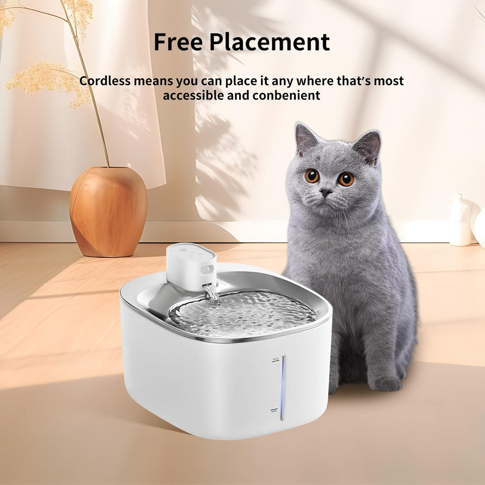 Pet enjoys fresher water from a Kactoily fountain