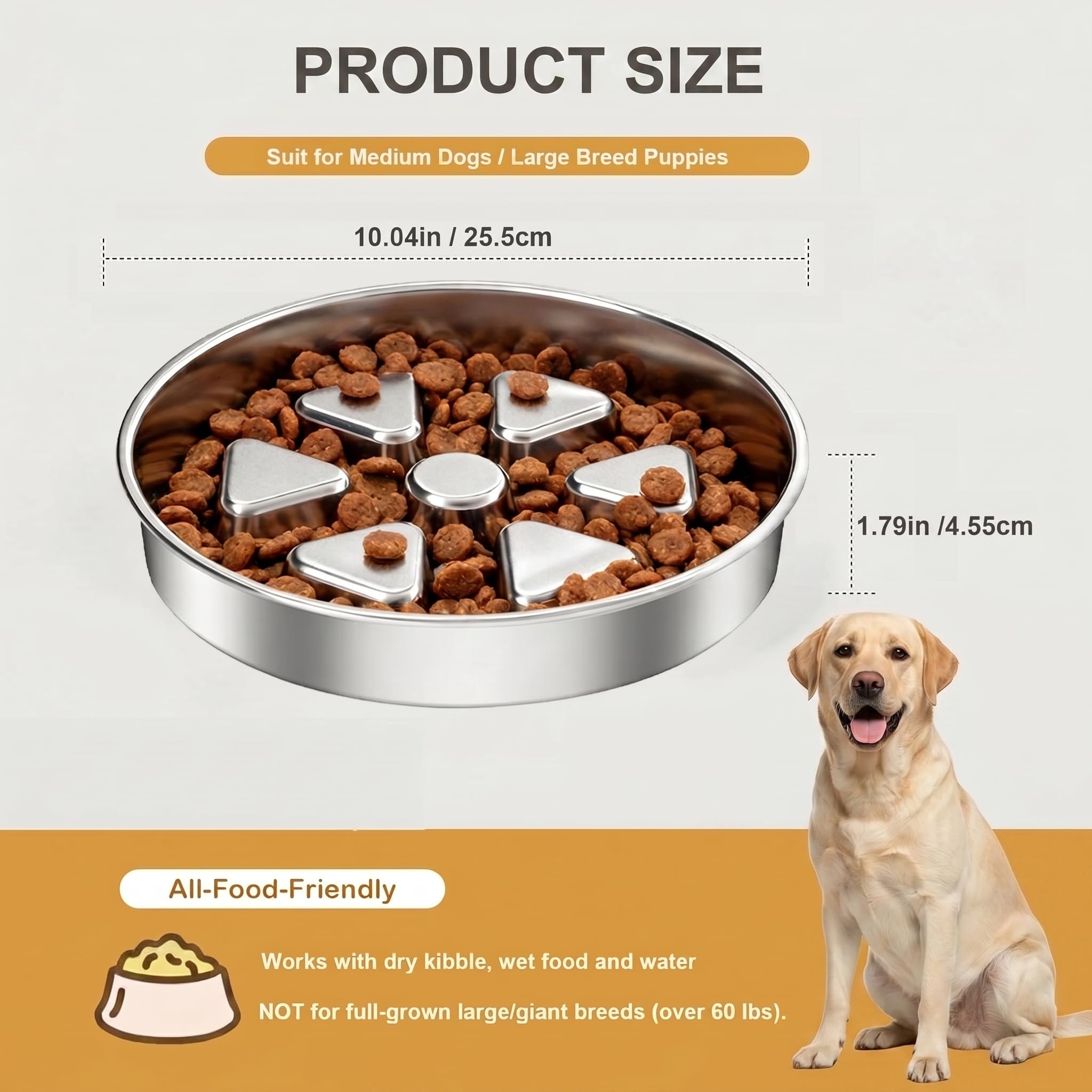 Kactoily bowl designed for medium and large puppies' meals