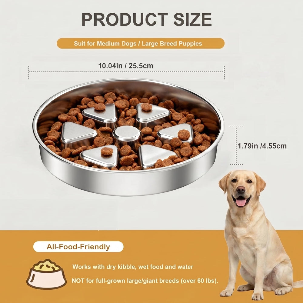 Kactoily bowl designed for medium and large puppies' meals