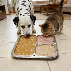 Kactoily stainless steel surface resists odors and scratches for daily use.