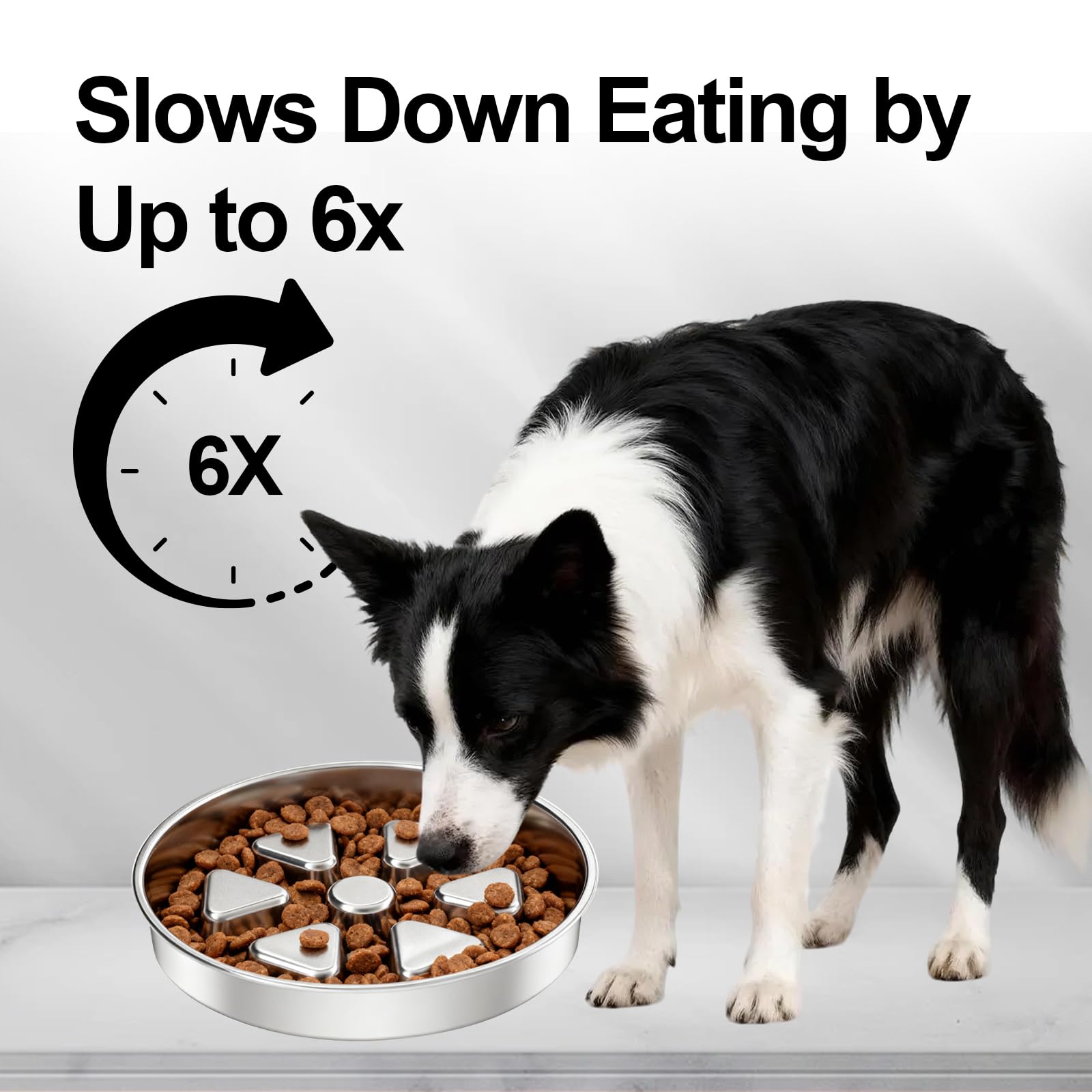 Kactoily raised center mealtime design supports paced eating.
