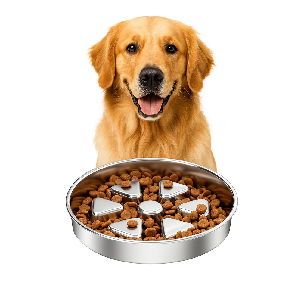 Kactoily slow feeder bowl with raised center promotes slower meals.
