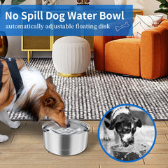 Kactoily stainless steel dog water bowl with modern finish and hygienic vessel.