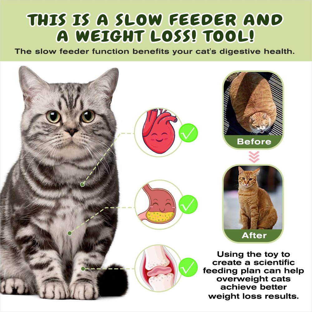 KADTC cat enrichment toy with foraging balls promotes mental stimulation.
