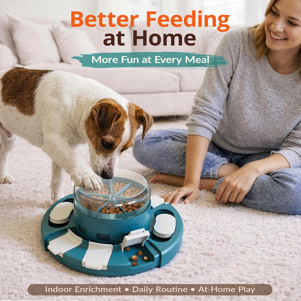 KADTC brain stimulating toy encourages sniffing and problem solving