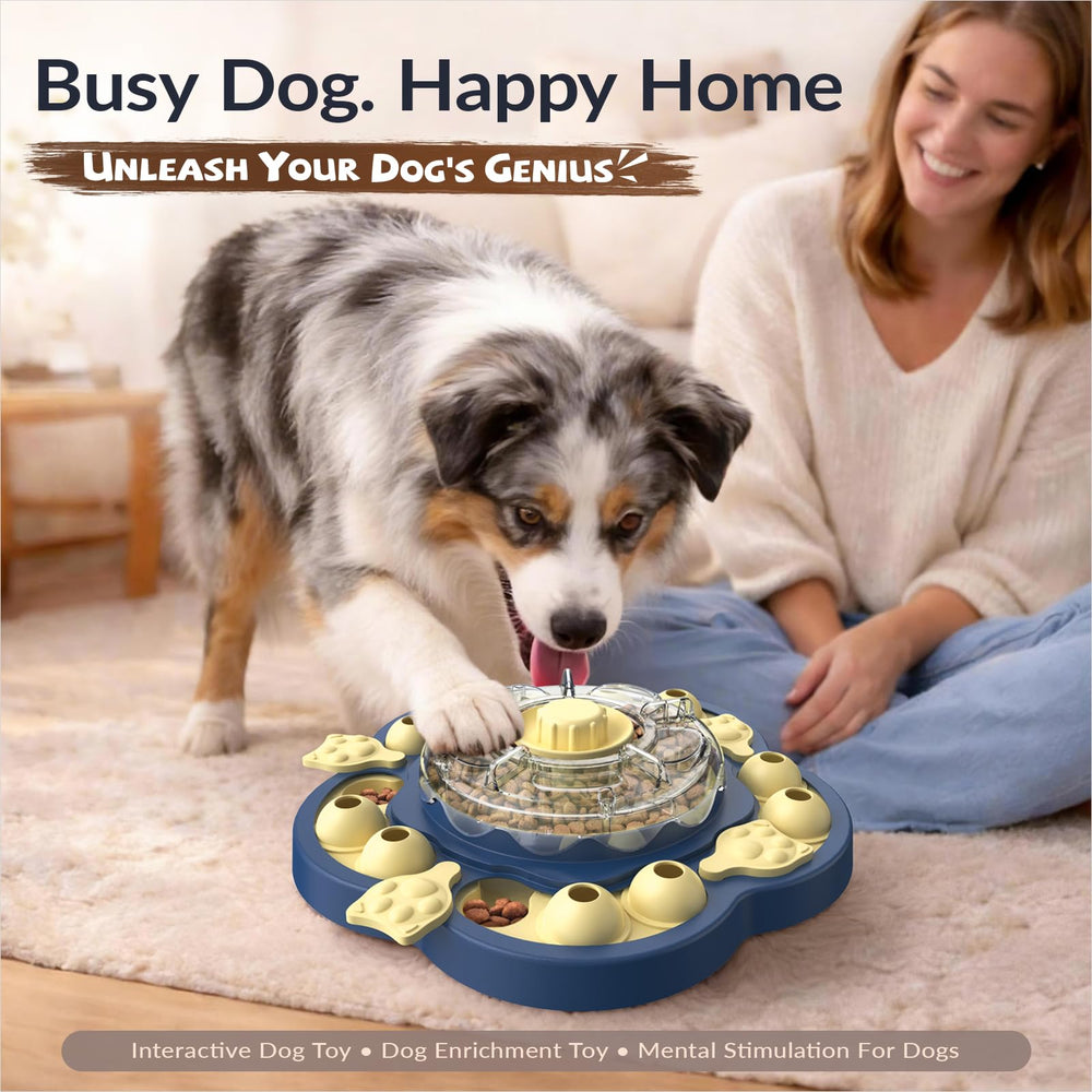 KADTC dog enrichment scene showing interactive play and focus