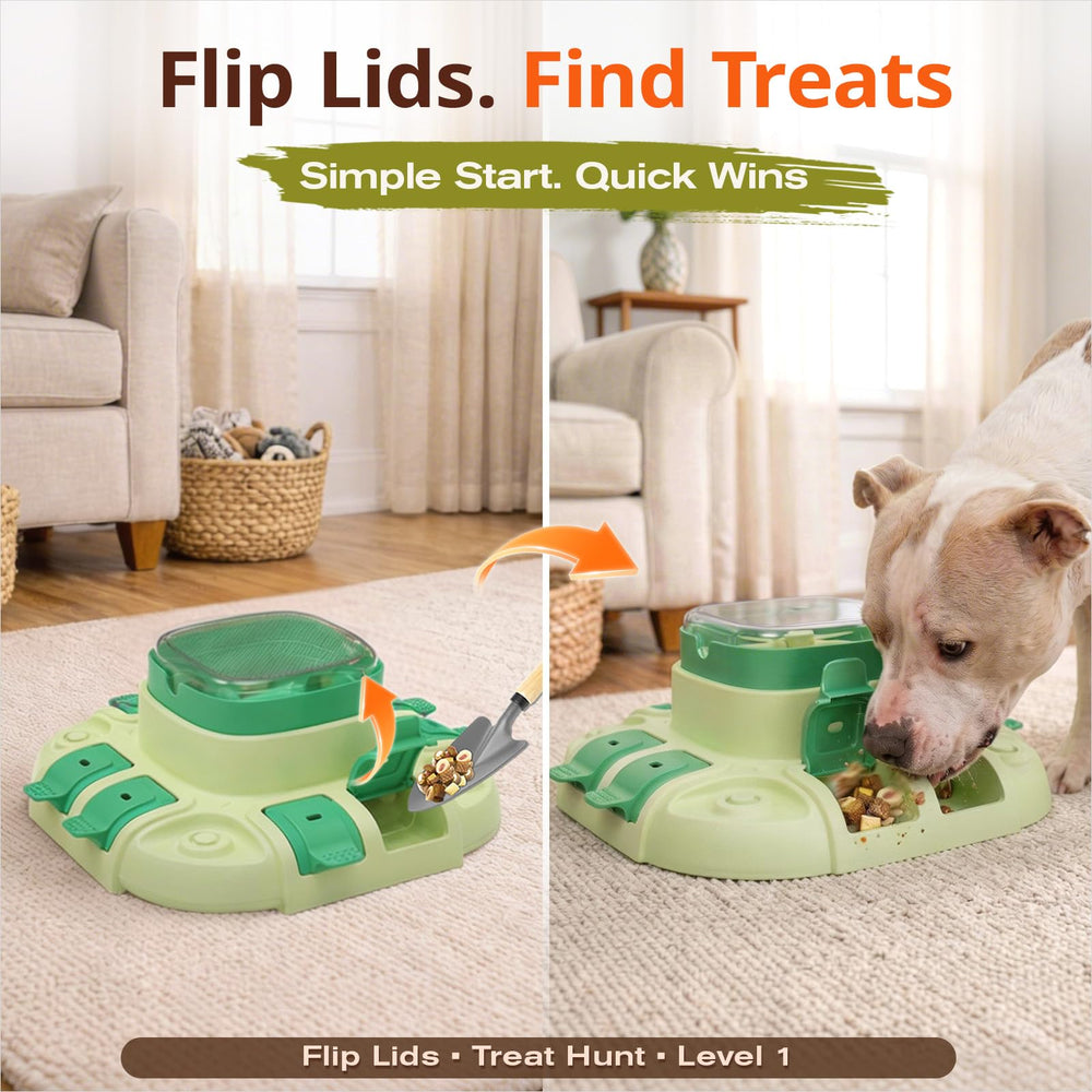 KADTC dog puzzle toy two-level design for progressive challenge
