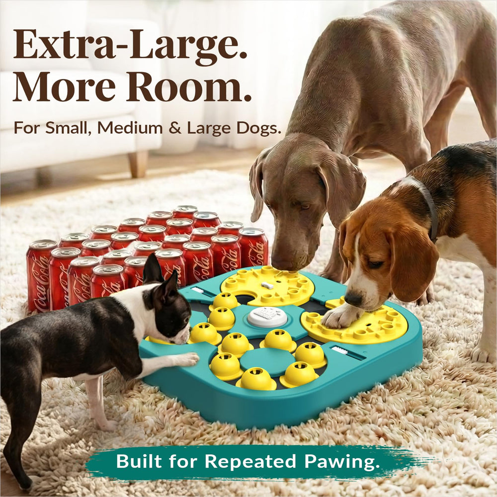KADTC extra-large size accommodates medium to large breeds for shared play.
