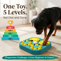 KADTC puzzle toy XL levels display helps owners track progress and adjust difficulty.