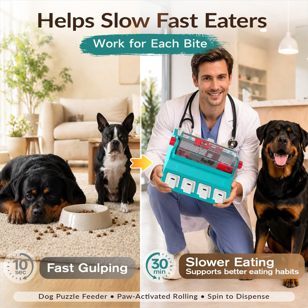 KADTC dog puzzle toy XL enhances mealtime enrichment and slow feeding.
