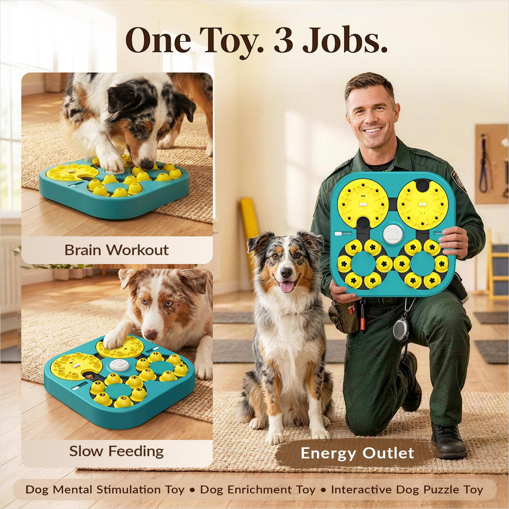KADTC rewards-search action shows dogs pawing and spinning for treats.