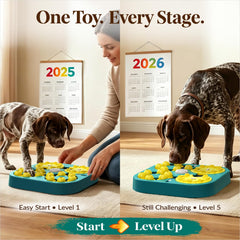 KADTC puzzle toy features multiple treat compartments for engaging rewards.