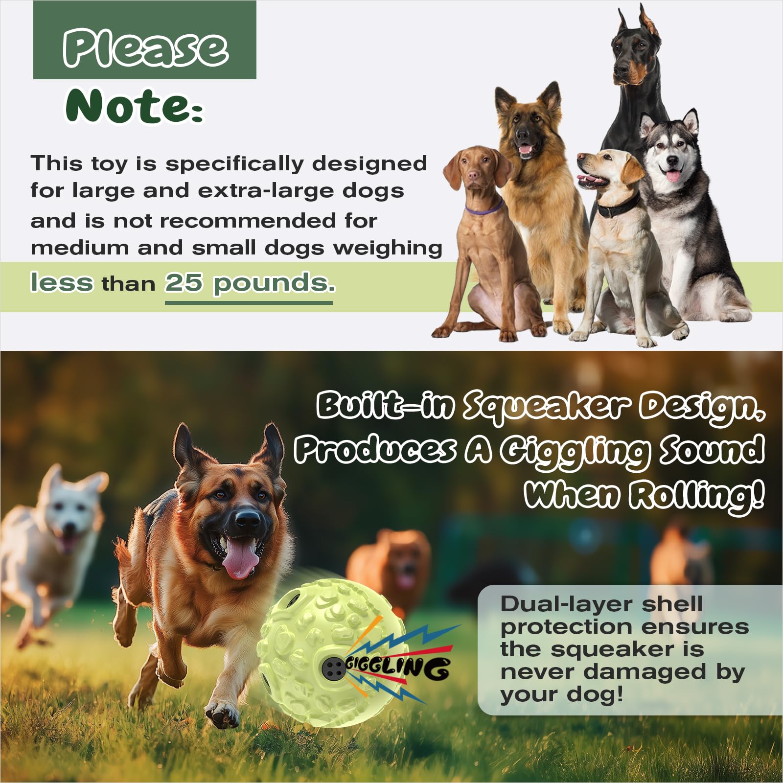 KADTC oversized textured surface helps large dogs grip and move confidently.