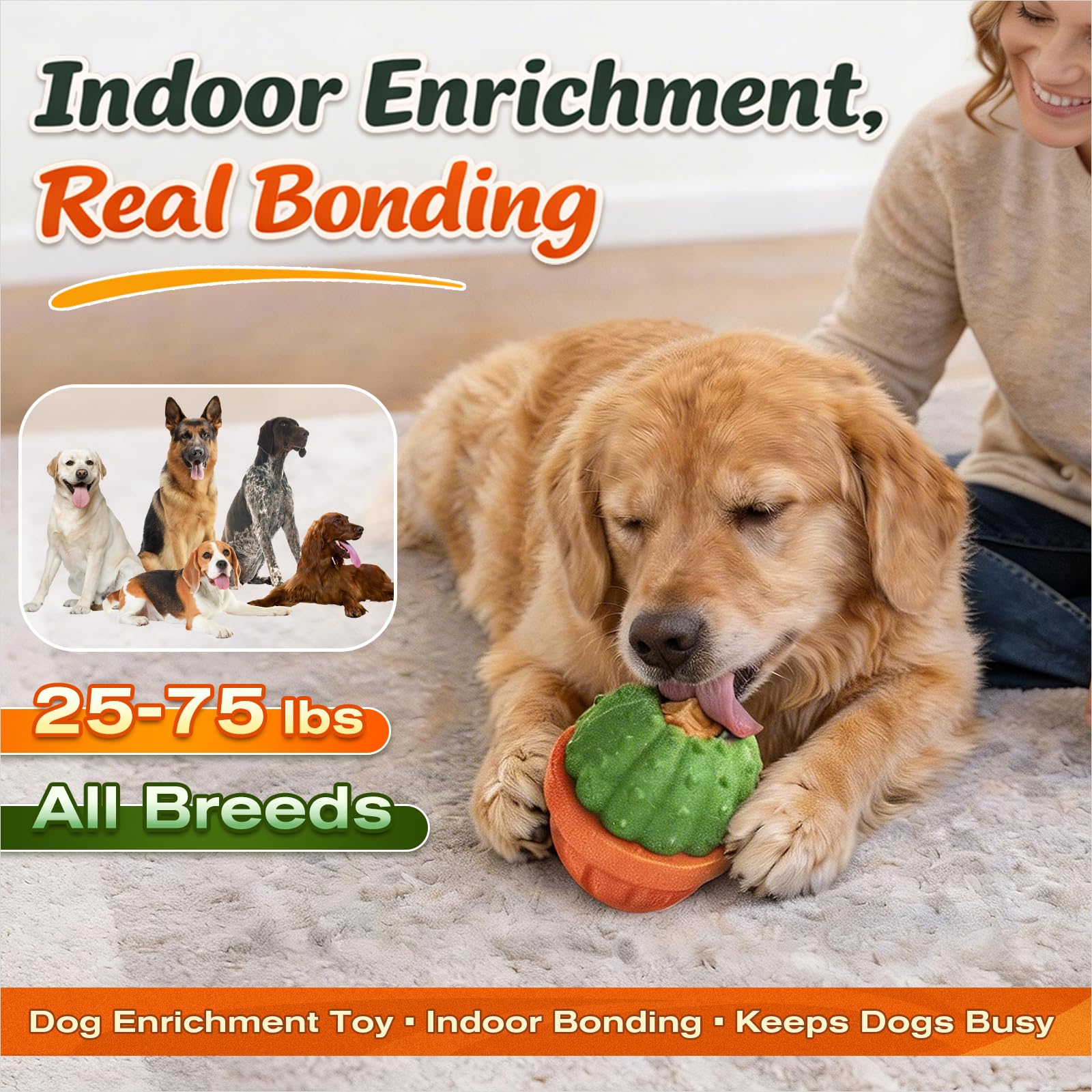 KADTC kibble-mode foraging ball transitioning feeding into a playful challenge.