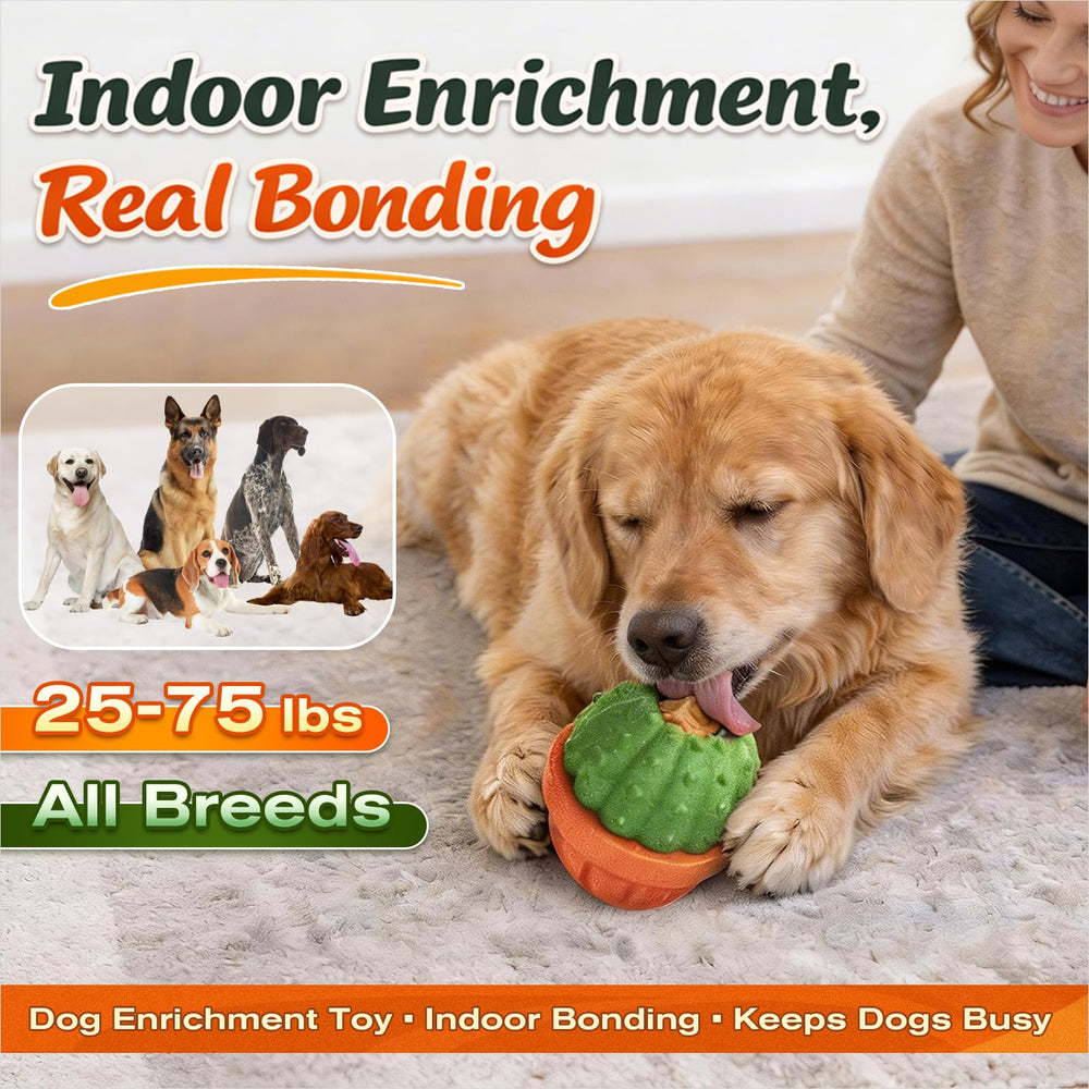 KADTC kibble-mode foraging ball transitioning feeding into a playful challenge.