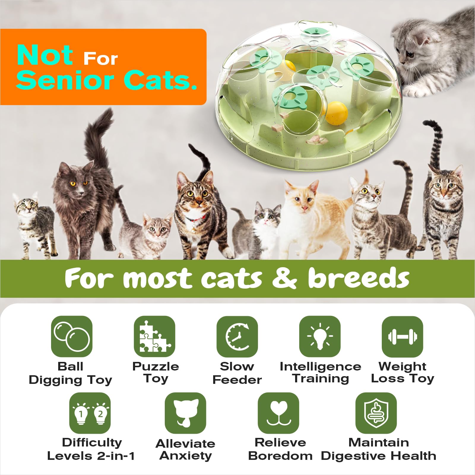 KADTC treat puzzle track ball shows rolling rewards for motivated cats.