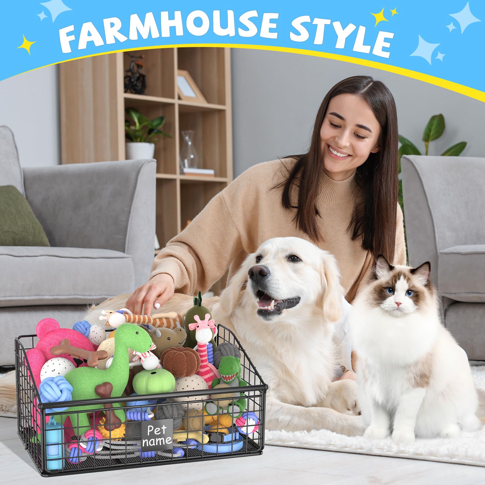 Kaiferty pet toy and treat storage doubles as decor