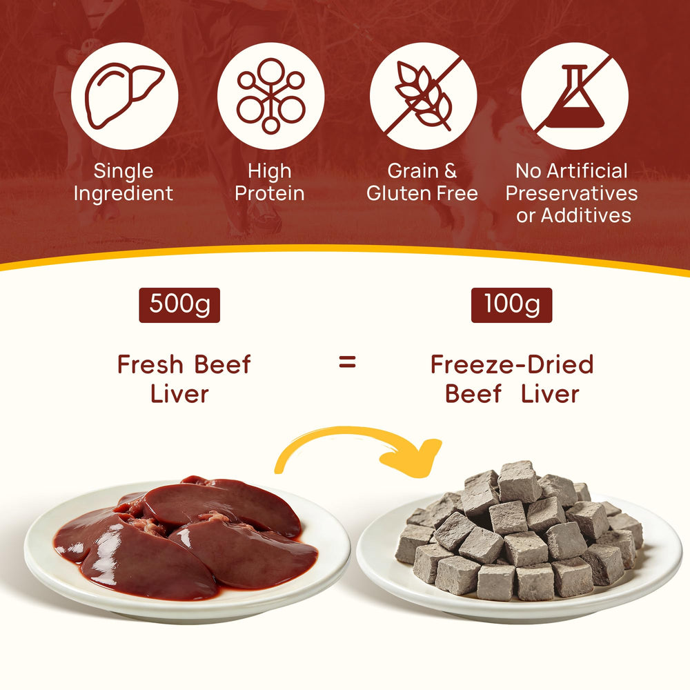 Kaiivo Freeze Dried Beef Liver Bites close-up shows crisp texture ideal for rewarding pets