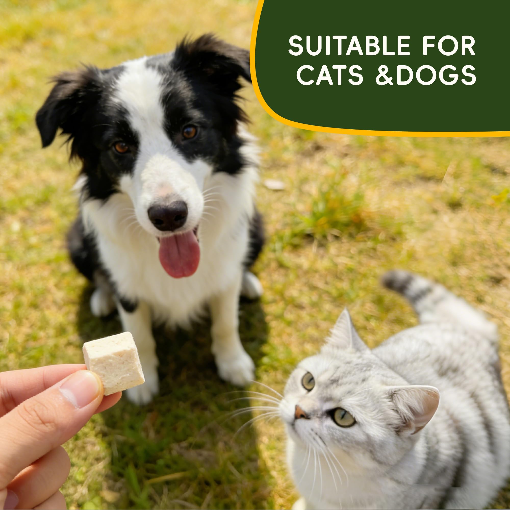 Kaiivo protein-rich chicken treats support coat and digestion.
