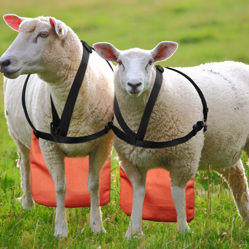 Kajaia soft-cotton-flannelette backing adds gentle reassurance for animals.