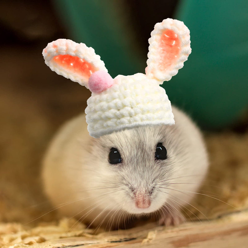 Kajaia rainbow-style mini hat brightening pet photos and parties