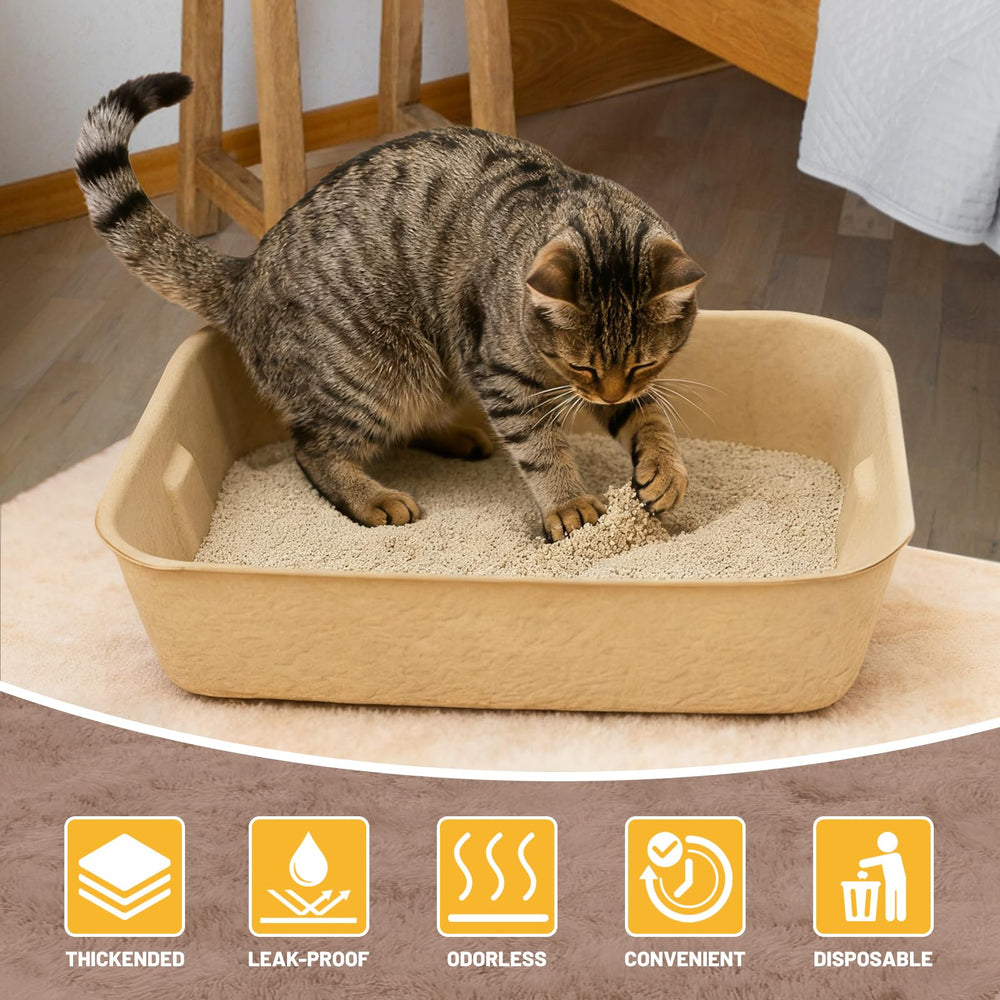 Breathable surface with natural odor control for a fresher room.