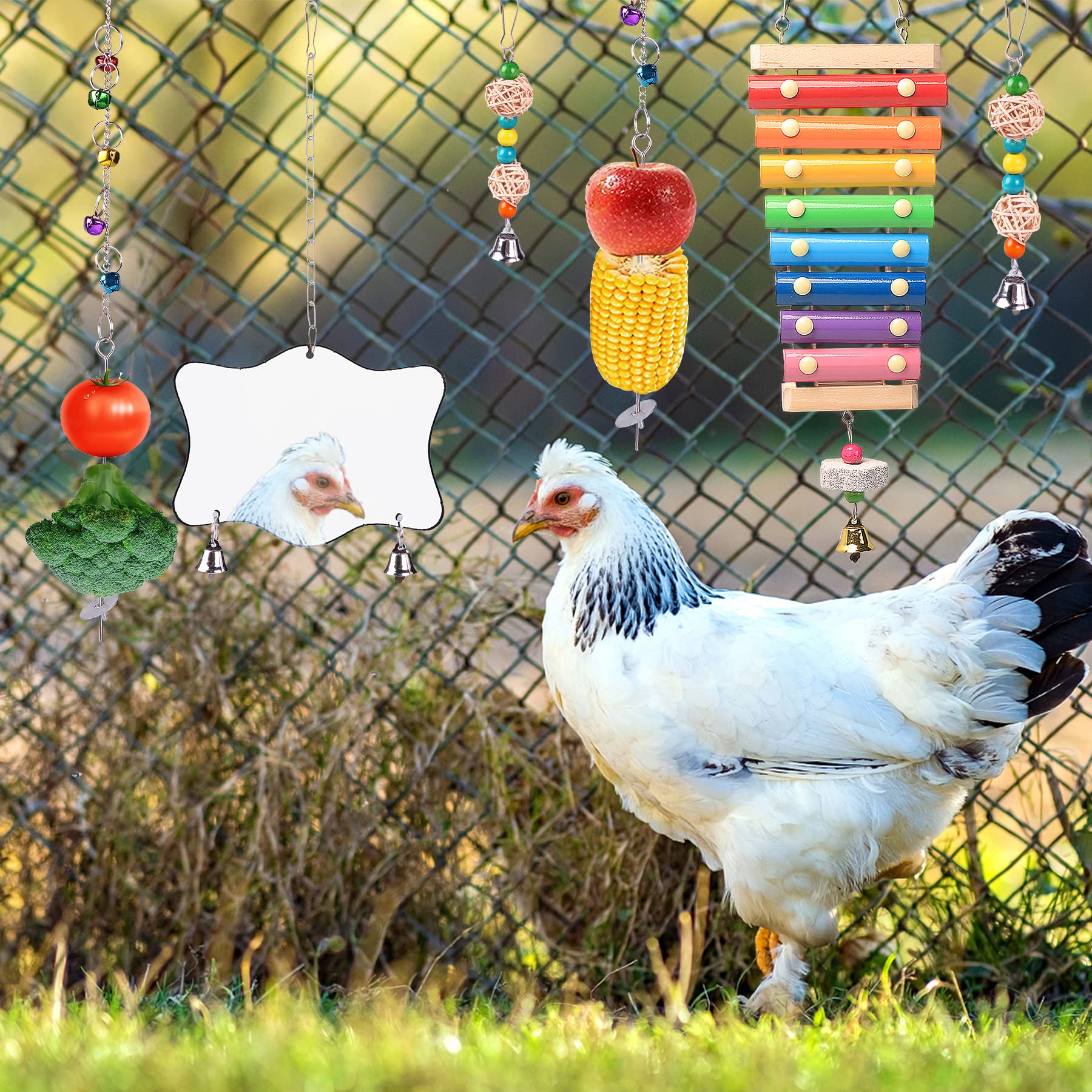 KAKUNM chicken toys coop fruit skewers feeder promotes foraging-like enrichment
