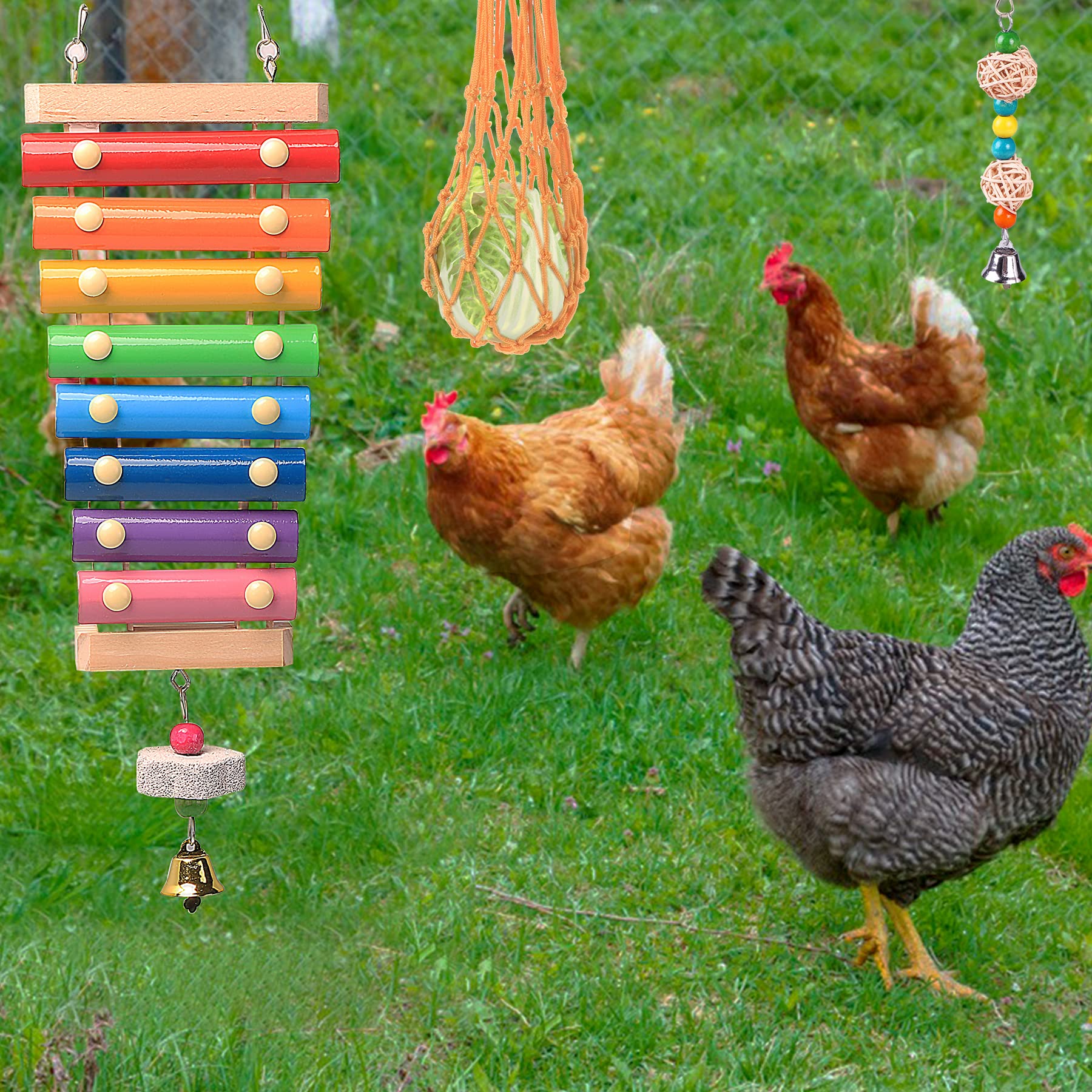 KAKUNM fruit skewers hanging feeder enhances foraging fun
