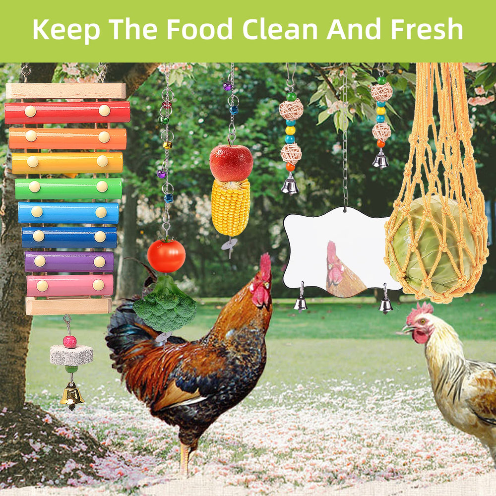 KAKUNM chicken toys coop mirror sparks curiosity and social play