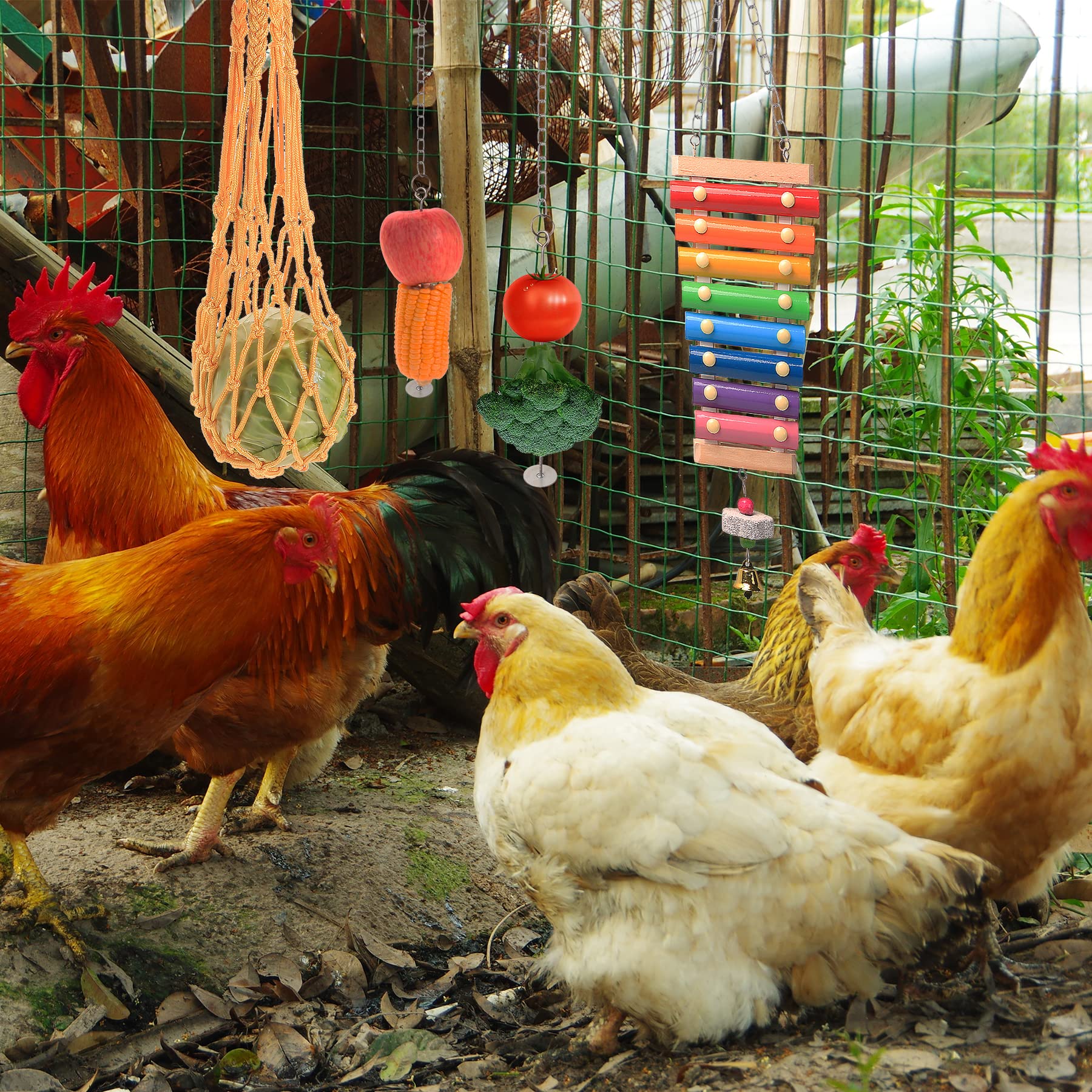 KAKUNM vegetable skewers feeder, stainless steel feeding option for hens