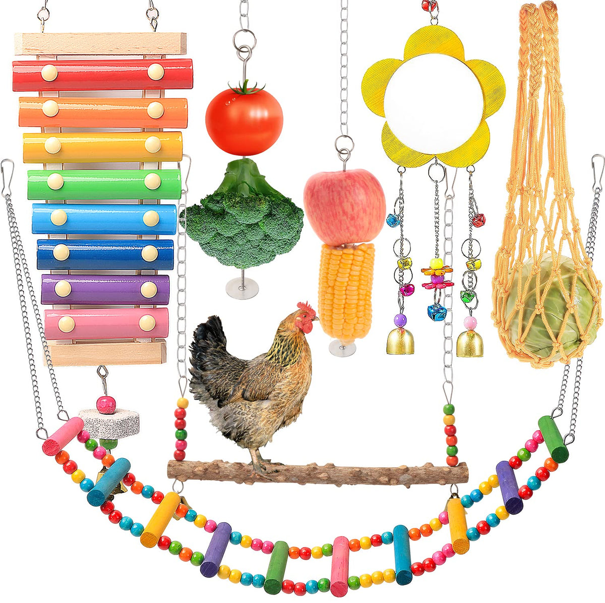 KAKUNM chicken xylophone close-up, entertaining hens with crunchy sound
