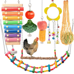 KAKUNM chicken xylophone close-up, entertaining hens with crunchy sound