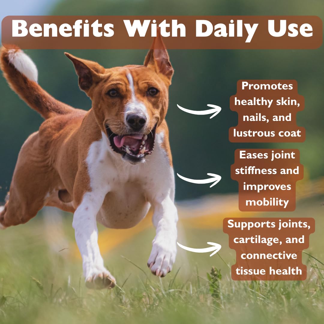KALA HEALTH PeakTails MSM designed for large dogs with easy dosing.