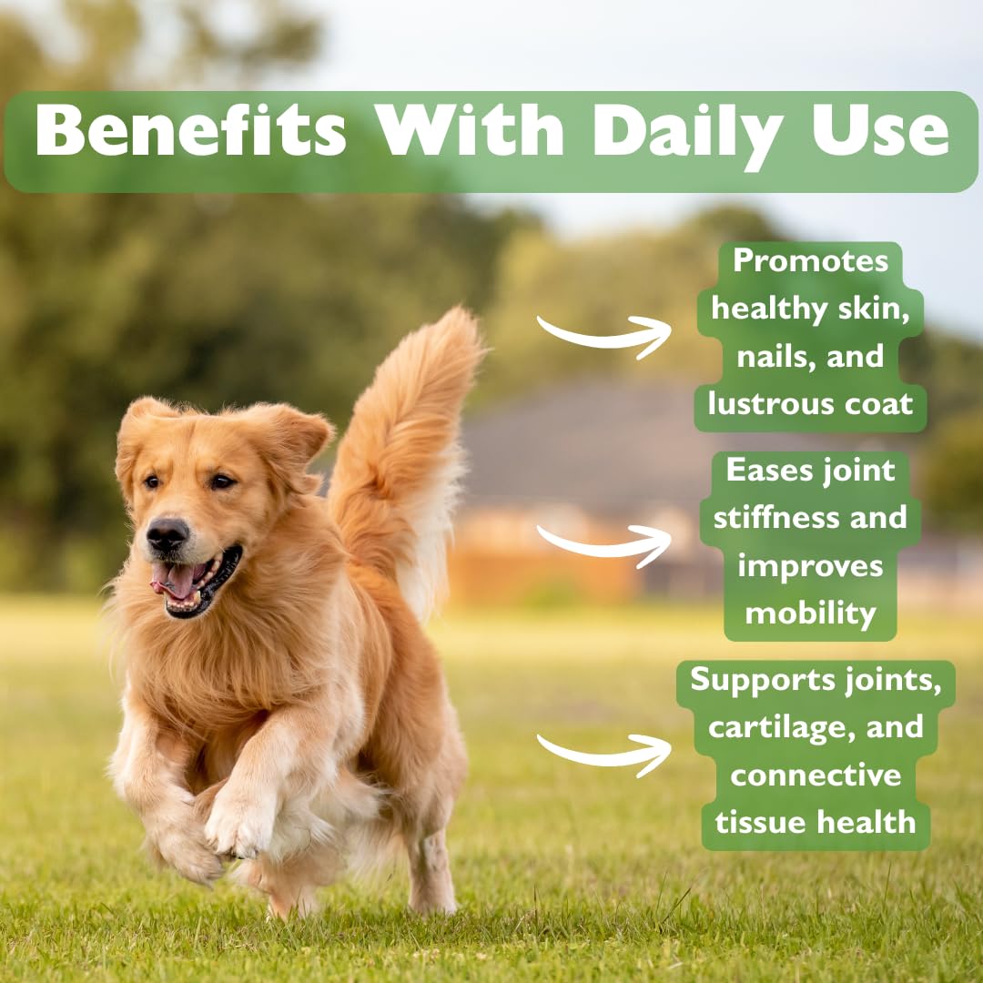 KALA HEALTH PeakTails MSM powder texture close-up shows fine consistency