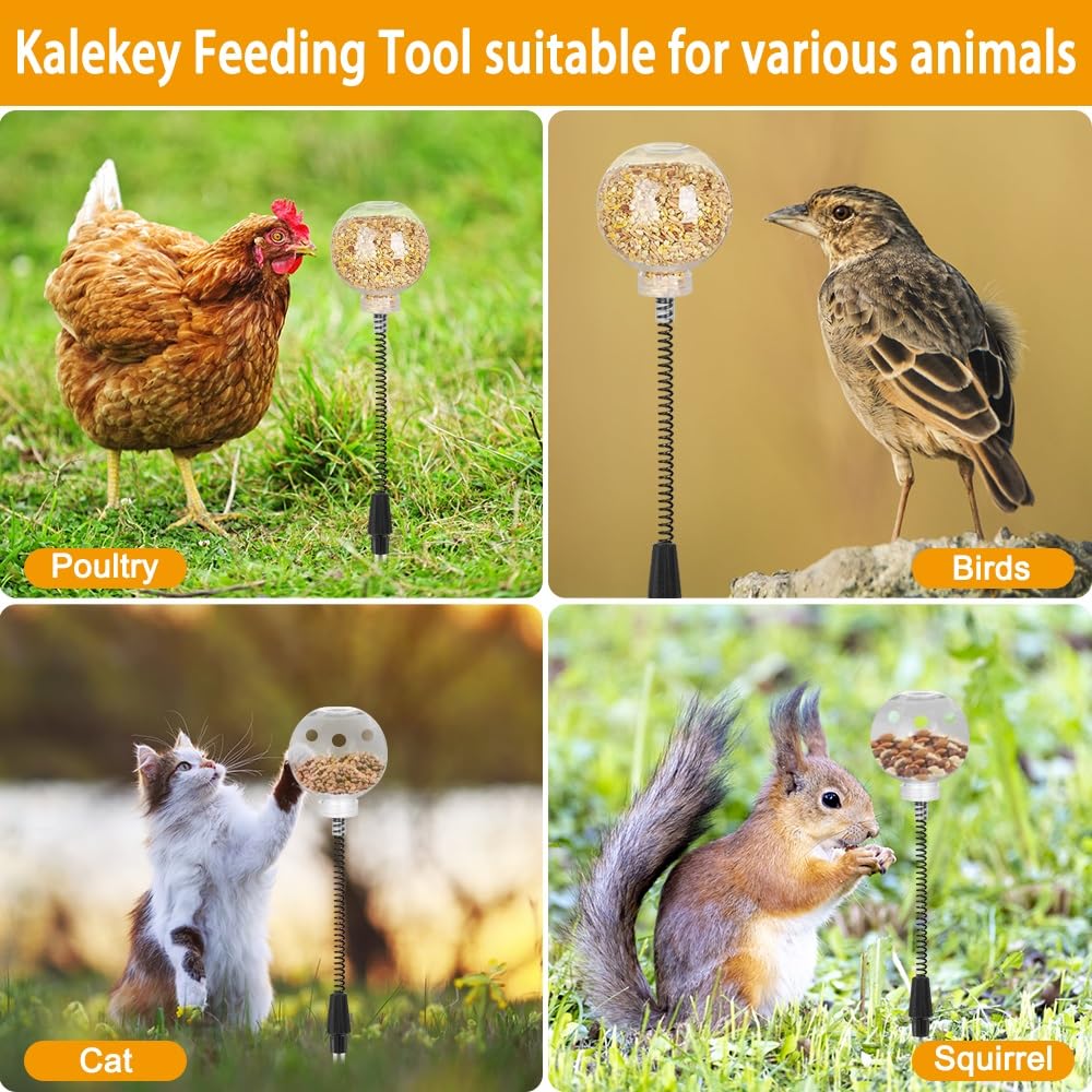Kalekey slow feeder design invites longer, engaging feeding sessions.